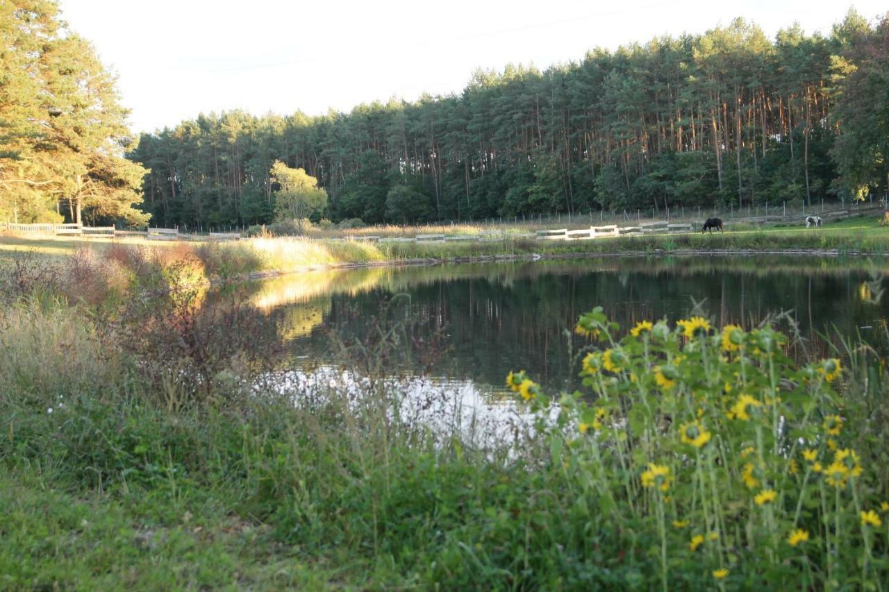 Quatro Osrodek Jezdziecki - Gospodarstwo Agroturystyczne Pobiedziska Exteriör bild