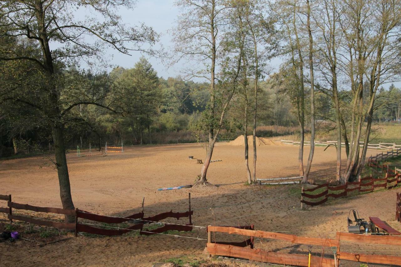 Quatro Osrodek Jezdziecki - Gospodarstwo Agroturystyczne Pobiedziska Exteriör bild