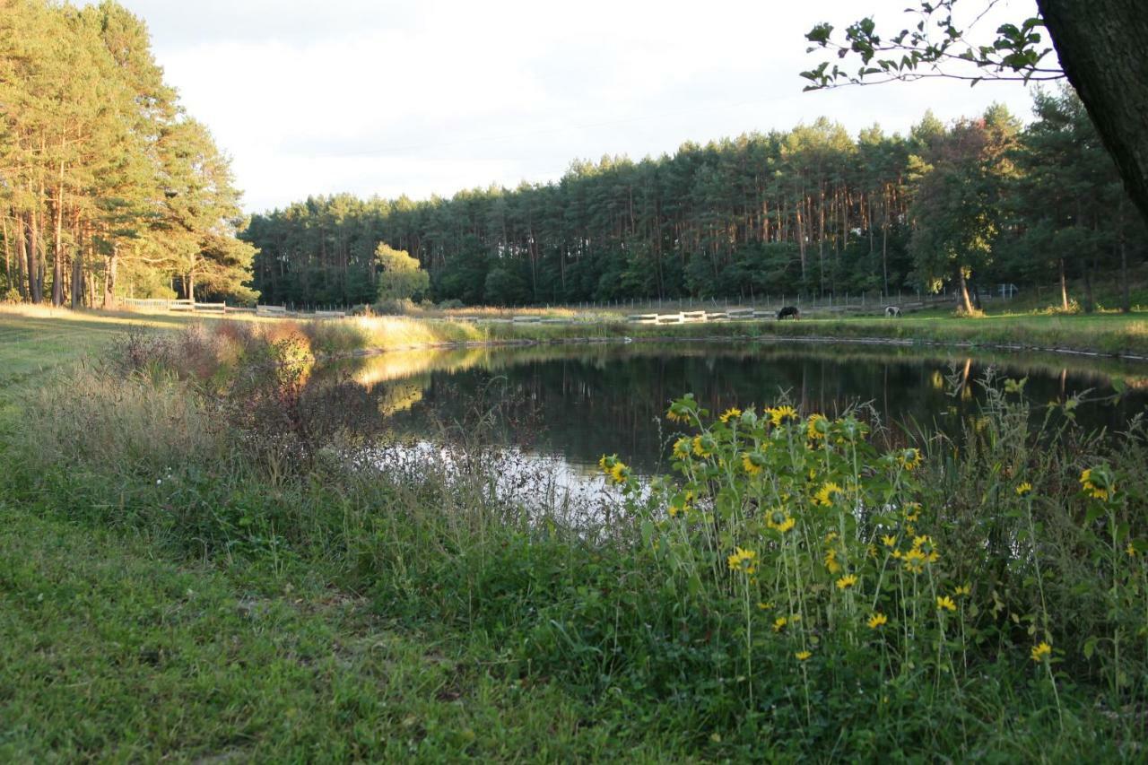 Quatro Osrodek Jezdziecki - Gospodarstwo Agroturystyczne Pobiedziska Exteriör bild